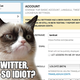 Illustration for article titled Twitter Adds LOLCAT to Supported Language List Because They Are So Clever and Funny